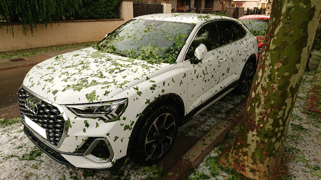 Car covered in shredded leaves.